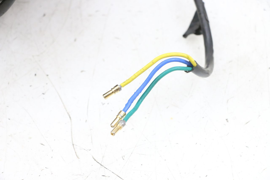 photo de FRONT RIM AND TIRE DUALTRON VICTOR LIMITED 1 - High-resolution close-up