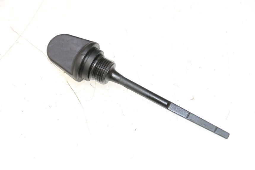 photo de ENGINE OIL LEVEL BOOM TRIKE FUN 500 (2004 - 2010) - Main view