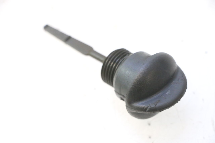 photo de ENGINE OIL DIPSTICK PIAGGIO X9 EVOLUTION 125 (2003 - 2007) - Component detail