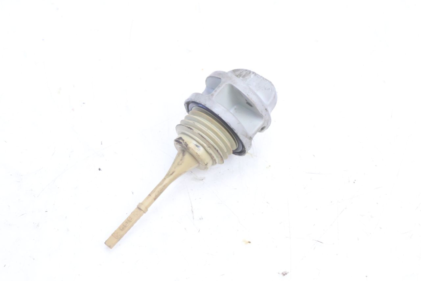 photo de ENGINE OIL LEVEL YAMAHA YP MAJESTY 125 (2007 - 2010) - Main view