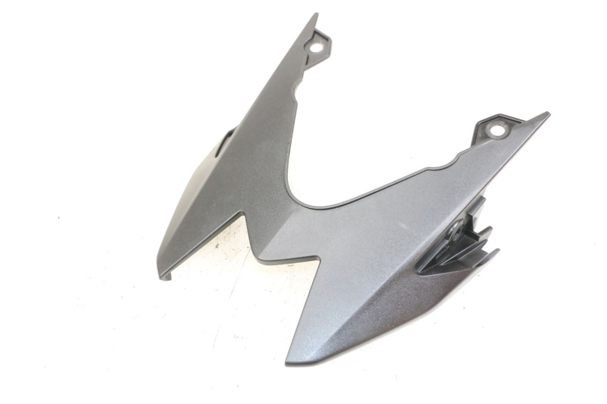 photo de REAR MIDDLE PANEL BMW S RR ABS S1000RR 1000 (2015 - 2018) - Main view