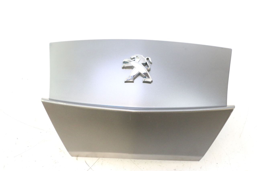 photo de REAR MIDDLE PANEL PEUGEOT CITYSTAR 2T 50 (2018 - 2021) - Main view