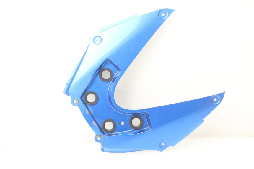 photo de REAR LOWER MIDDLE PANEL SUZUKI GSX-R GSXR K16 1000 (2012 - 2016) - Main view