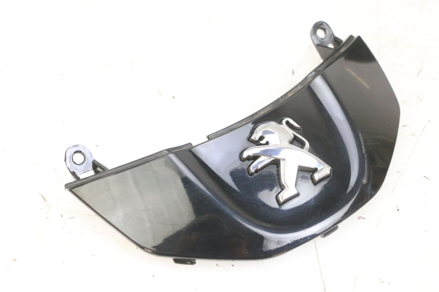 photo de REAR LOWER MIDDLE PANEL PEUGEOT TWEET PRO EFI 4T 50 (2021 - 2022) - Alternative perspective