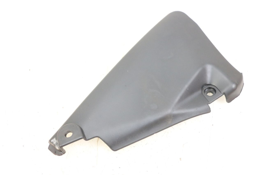 photo de REAR LOWER MIDDLE PANEL DAELIM VL DAYSTAR 125 (2000 - 2011) - Main view