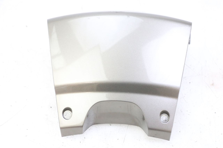 photo de REAR MIDDLE PANEL PEUGEOT SATELIS 125 (2013 - 2018) - Surface and material condition