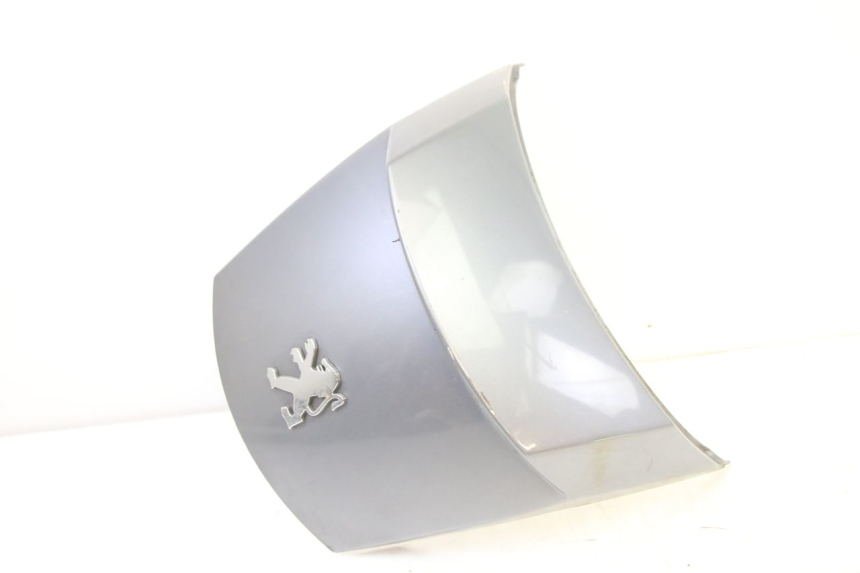 photo de REAR MIDDLE PANEL PEUGEOT SATELIS 250 (2006 - 2012) - Component detail