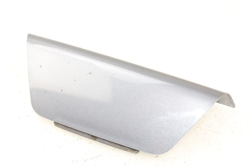 photo de REAR UPPER MIDDLE PANEL DAELIM S2 125 (2006 - 2007) - Main view