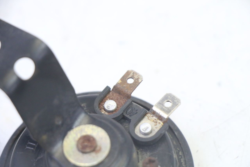 photo de HORN STAHO FH 50 (2018 - 2019) - Alternative perspective