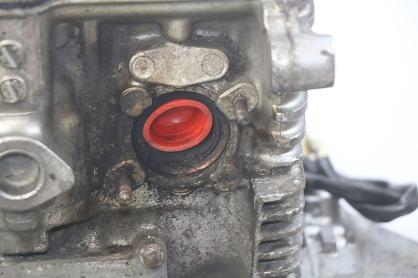 photo de ENGINE HONDA CB 500 (1997 - 2003) - Technical close-up