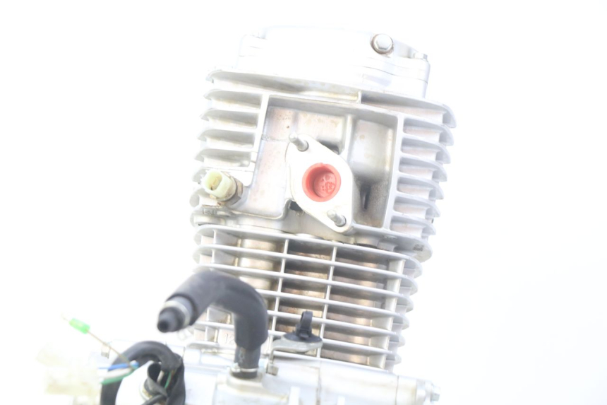 photo de ENGINE HONDA CRF CR-F 125 (2022 - 2023) - High-resolution close-up