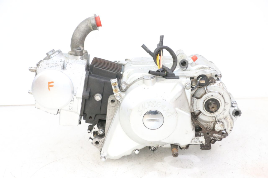 photo de ENGINE SKYTEAM DAX REPLICA 110 (2005 - 2015) - Main view