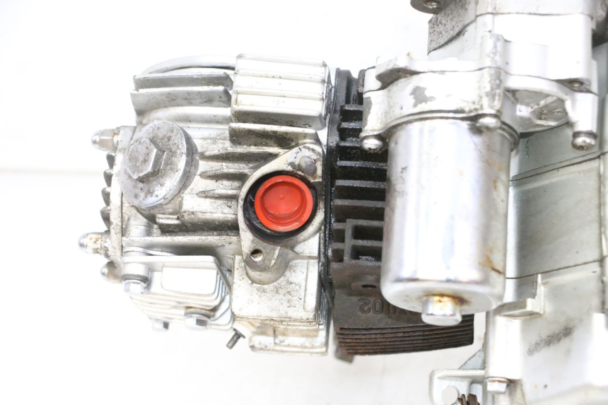 photo de ENGINE SKYTEAM DAX REPLICA 110 (2005 - 2015) - Alternative angle