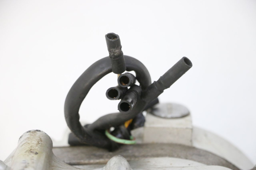 photo de ENGINE SKYTEAM DAX REPLICA 110 (2005 - 2015) - Product overview