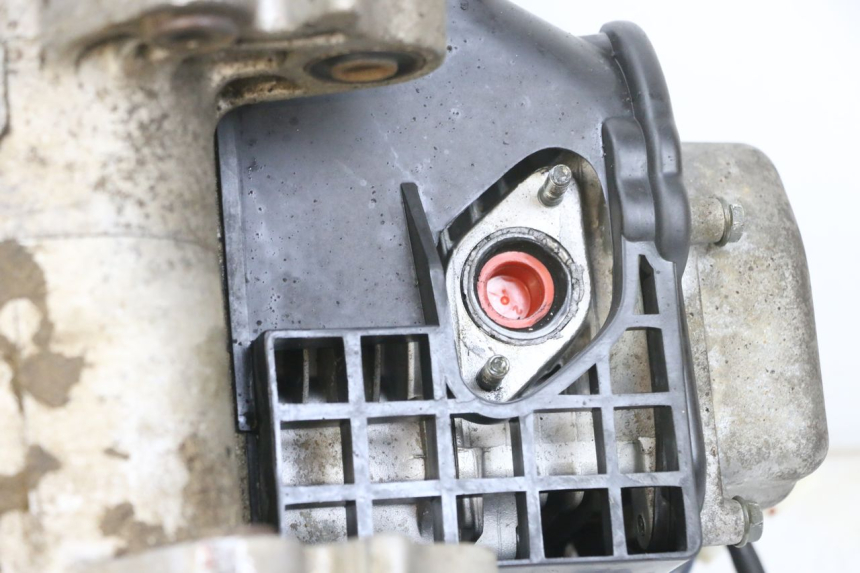 photo de ENGINE LONGJIA DIGITA 4T 50 (2019 - 2022) - Zoom on usage condition