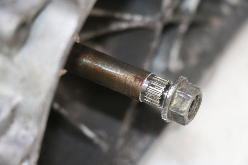 photo de ENGINE PEUGEOT ELYSTAR 50 (2002 - 2014) - Zoom on usage condition