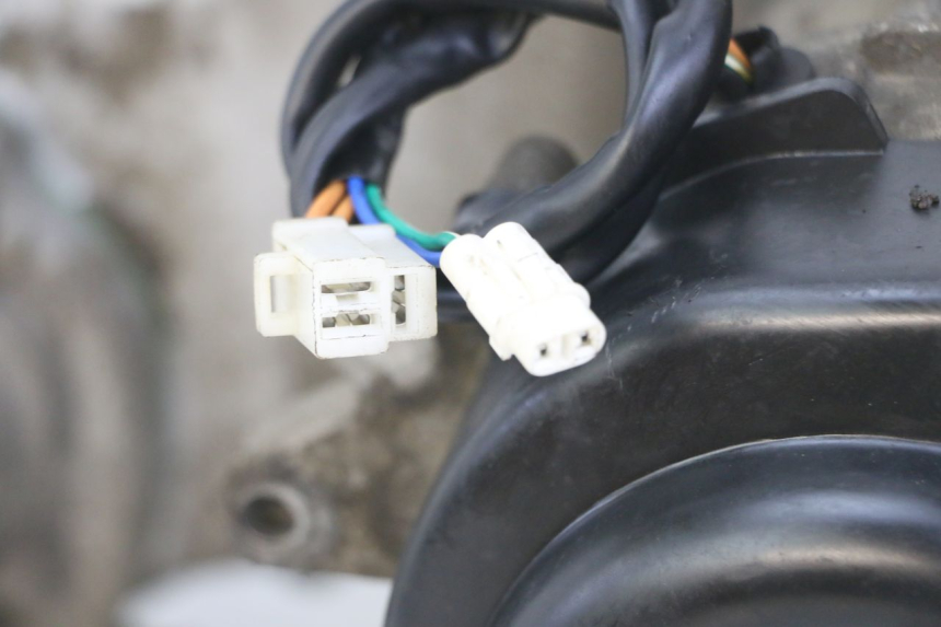 photo de ENGINE VENESI FLY RETRO 4T 50 (2020 - 2025) - Distinctive features