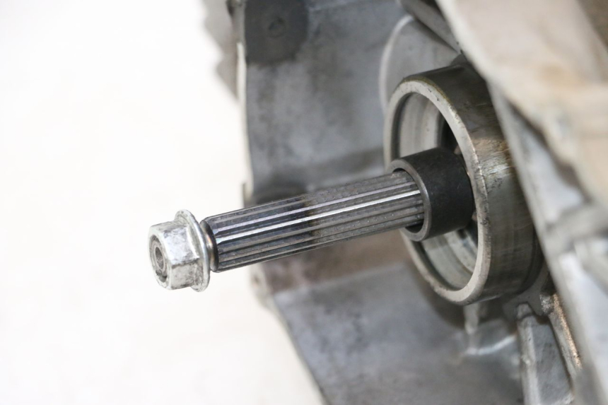 photo de ENGINE VASTRO GP 2T 50 (2013 - 2017) - Supplementary product photo