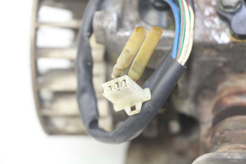 photo de ENGINE TNT MOTOR GRIDO 2T 50 (2010 - 2019) - Component zoom