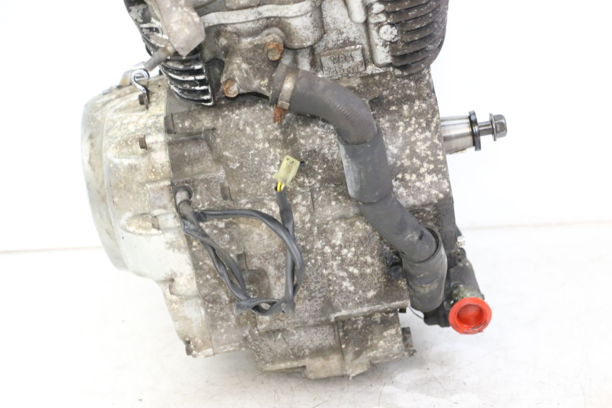 photo de ENGINE HONDA VT C2 SHADOW 750 (1997 - 2001) - Component detail
