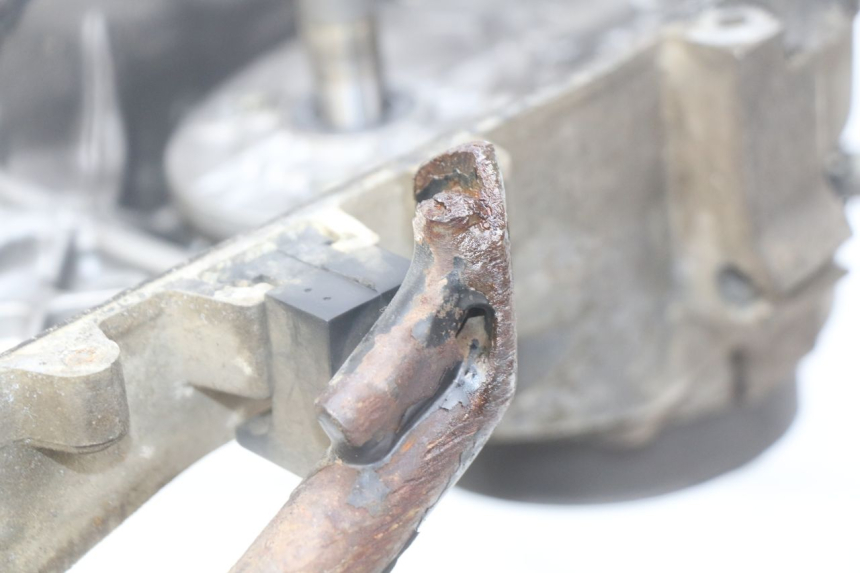 photo de ENGINE PEUGEOT LUDIX 50 (2005 - 2007) - Zoom on usage condition