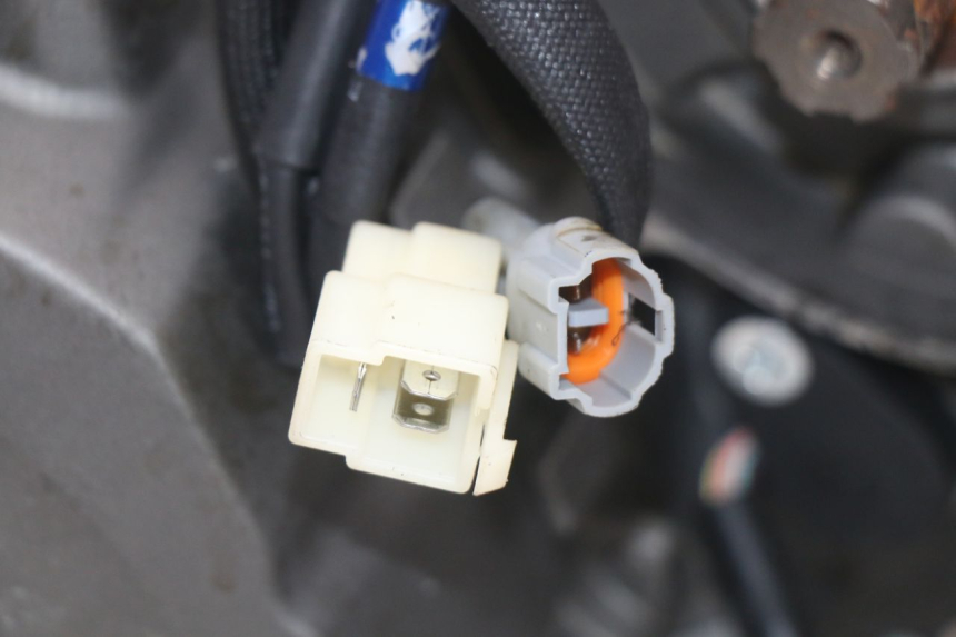 photo de ENGINE MASAI SCRAMBLER SPORT 125 (2021 - 2025) - Product overview