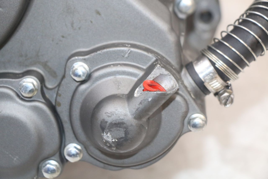 photo de ENGINE MASAI SCRAMBLER SPORT 125 (2021 - 2025) - Markings and original references