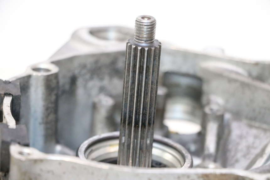 photo de ENGINE IMF INDUSTRIE NEW PACH 2T 50 (2014 - 2020) - Alternative perspective