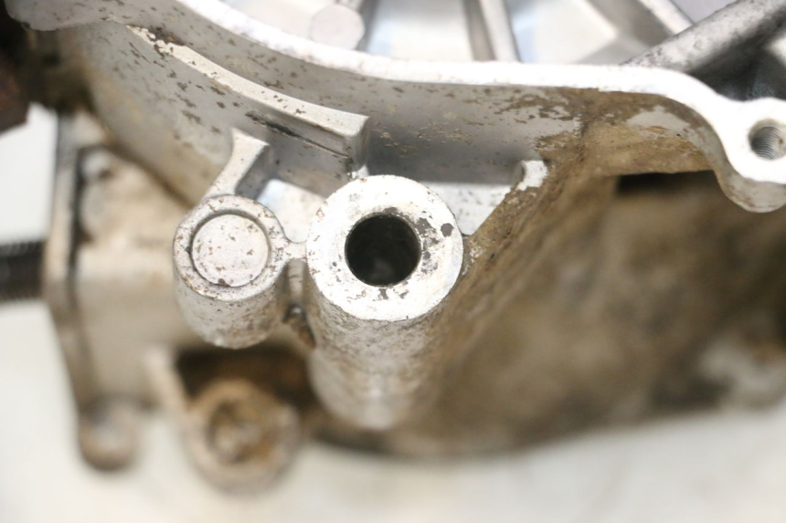 photo de ENGINE IMF INDUSTRIE NEW PACH 2T 50 (2014 - 2020) - Product overview