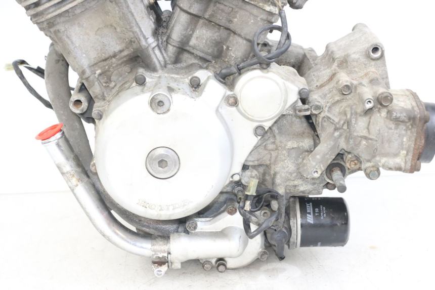 photo de ENGINE HONDA NTV DEAUVILLE 650 (1998 - 2001) - High-resolution close-up