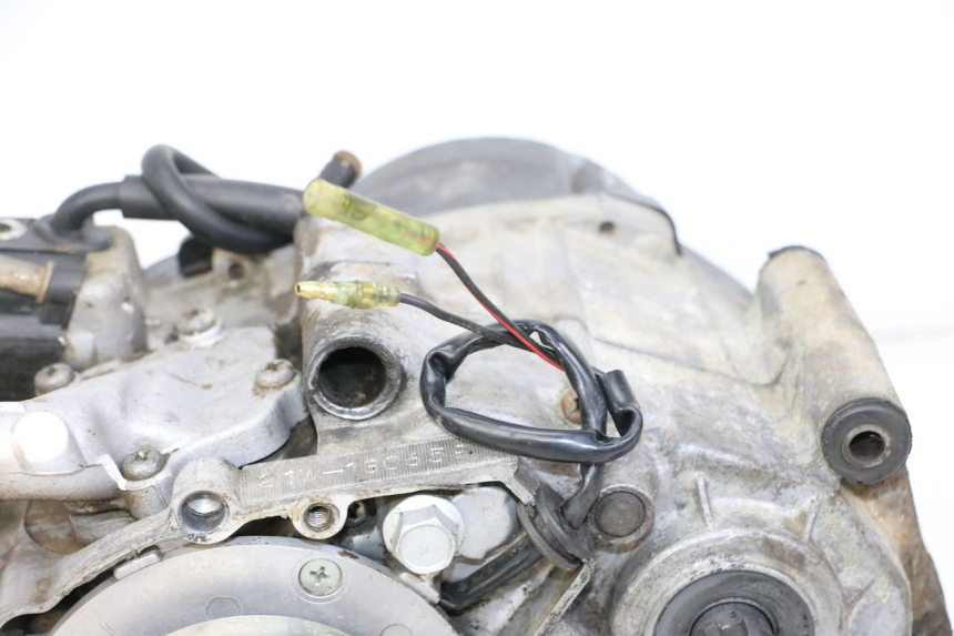 photo de ENGINE YAMAHA PW 80 (1983 - 2014) - Checked used part