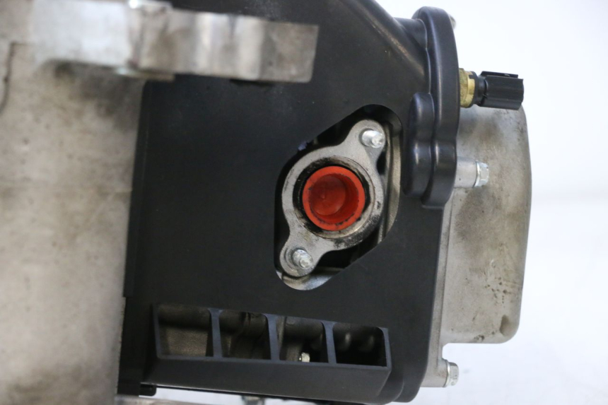 photo de ENGINE JM MOTORS R-MAX TECH 50 (2024 - 2026) - Alternative perspective