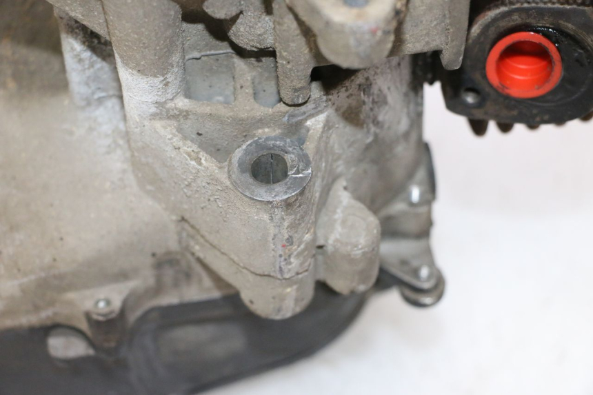 photo de ENGINE ORCAL RAPTOR 50 (2015 - 2021) - Product overview