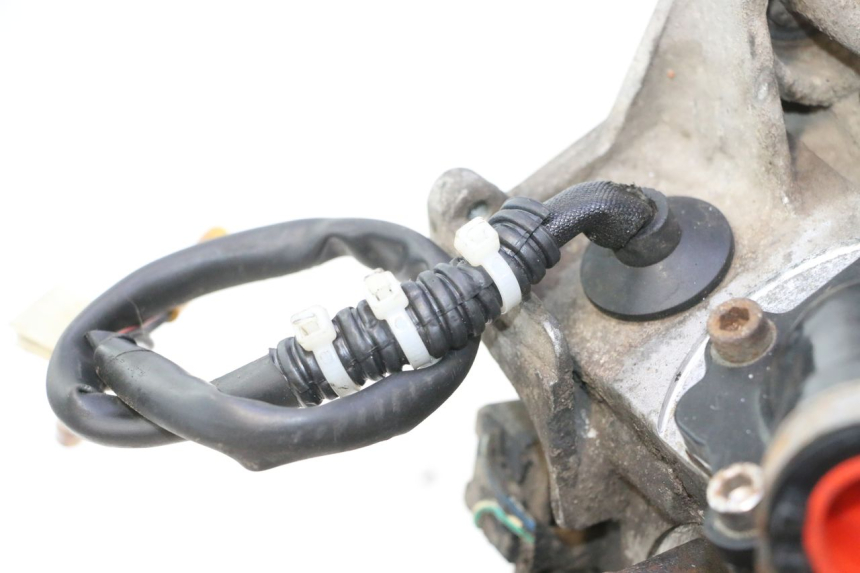 photo de ENGINE TNT MOTOR ROMA 10' 2T 50 (2011 - 2018) - Checked used part