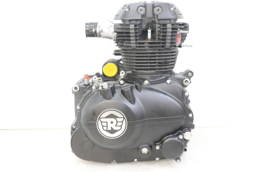 photo de ENGINE ROYAL ENFIELD HYMALAYAN 410 (2016 - 2023) - Main view