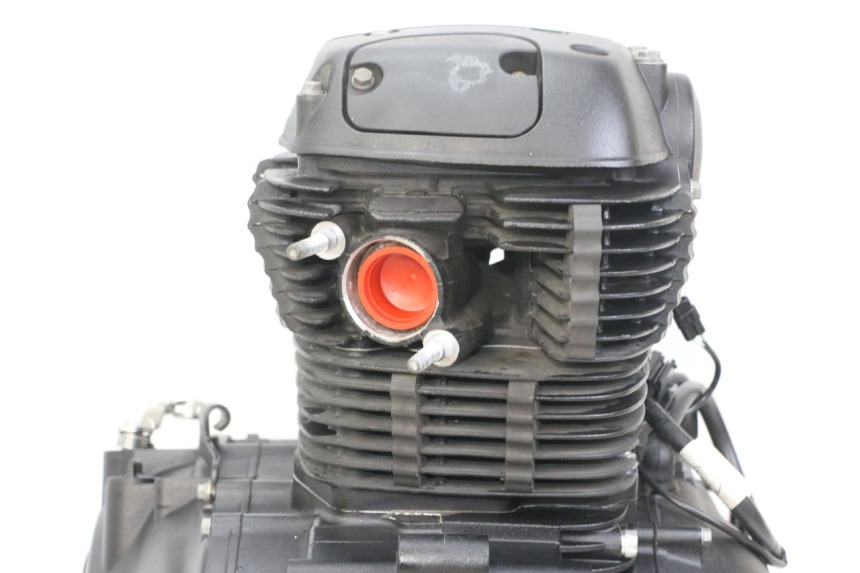 photo de ENGINE ROYAL ENFIELD HYMALAYAN 410 (2016 - 2023) - Distinctive features