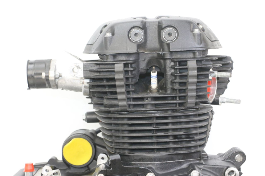 photo de ENGINE ROYAL ENFIELD HYMALAYAN 410 (2016 - 2023) - Supplementary product photo