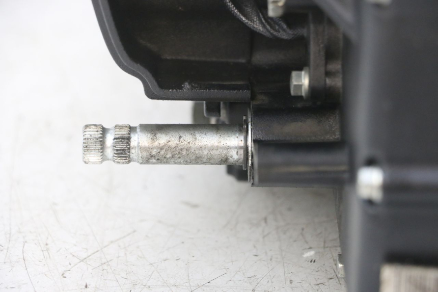 photo de ENGINE ROYAL ENFIELD HYMALAYAN 410 (2016 - 2023) - Alternative perspective