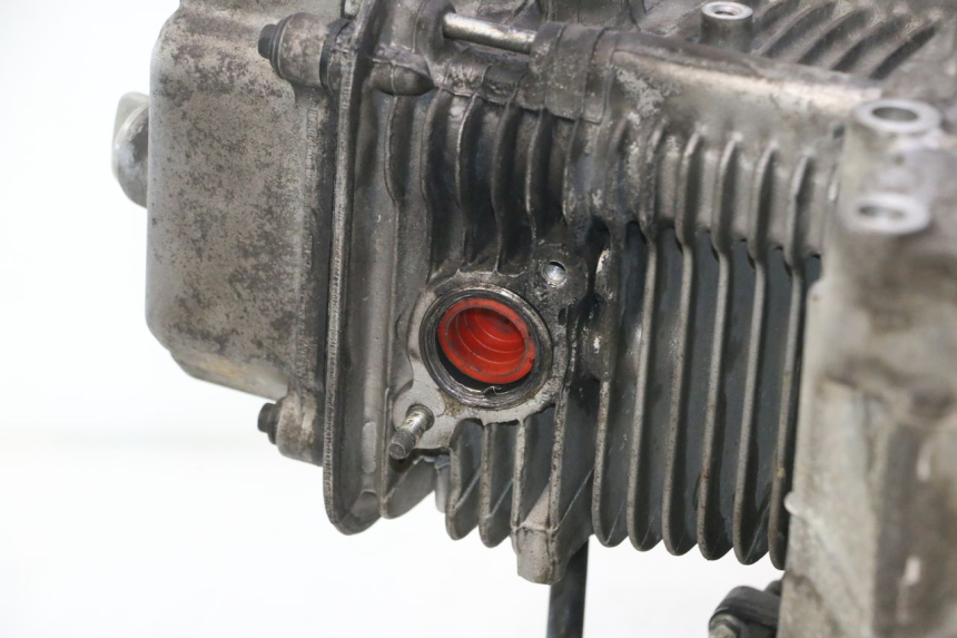 photo de ENGINE DAELIM S2 125 (2006 - 2007) - Surface and material condition