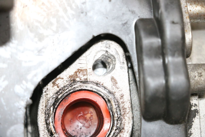 photo de ENGINE JM MOTORS SANTANA 50 (2014 - 2023) - Zoom on usage condition