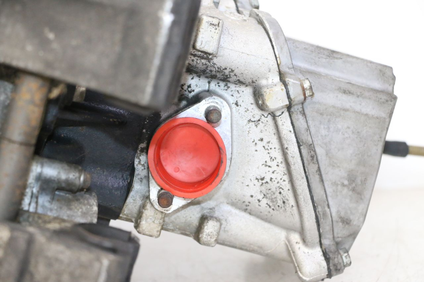 photo de ENGINE PEUGEOT SATELIS 125 (2006 - 2009) - Alternative perspective