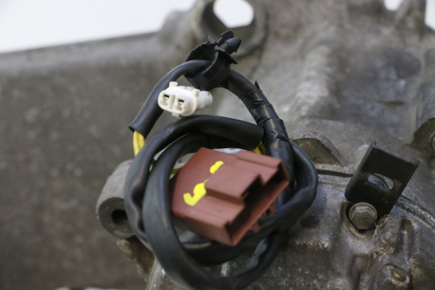 photo de ENGINE PEUGEOT SATELIS 125 (2006 - 2009) - Detailed visual inspection