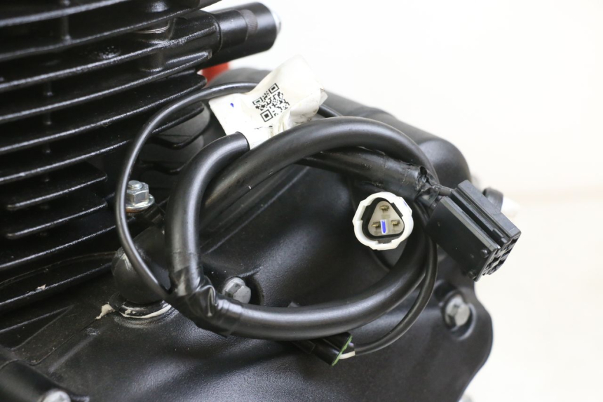 photo de ENGINE ROYAL ENFIELD SCRAM 411 (2022 - 2024) - Alternative perspective