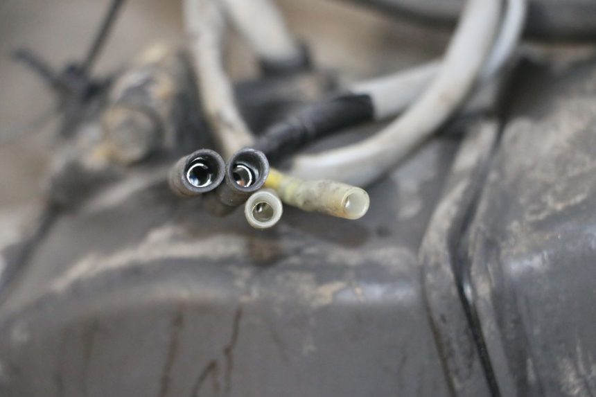 photo de ENGINE HONDA SCV LEAD 100 (2003 - 2007) - Main view