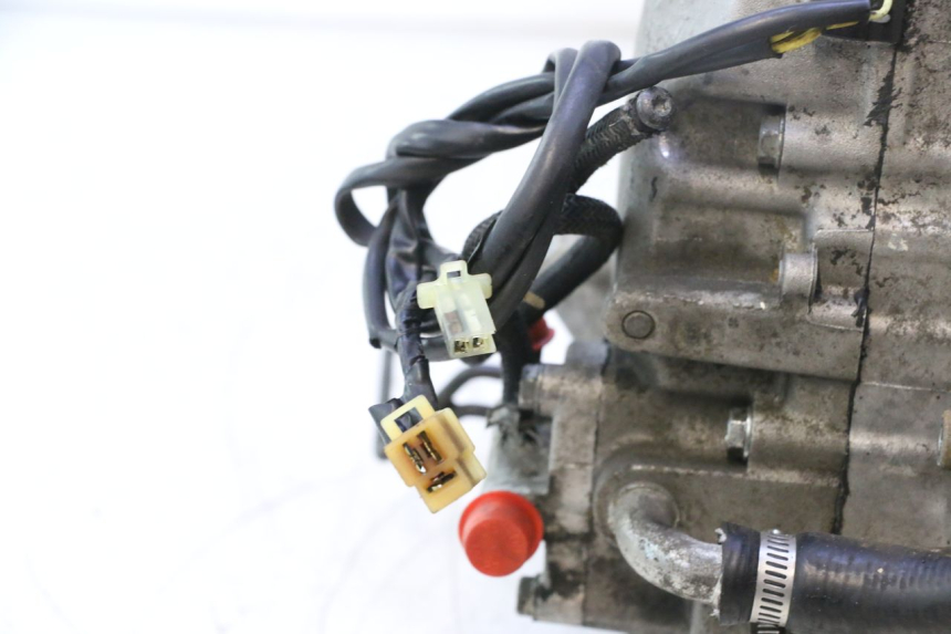 photo de ENGINE HONDA SH 125 (2001 - 2003) - Markings and original references