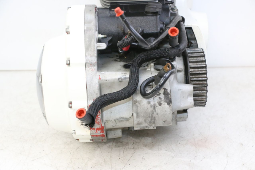 photo de ENGINE HARLEY DAVIDSON SPORTSTER XL CUSTOM 883 (1999 - 2006) - Supplementary product photo