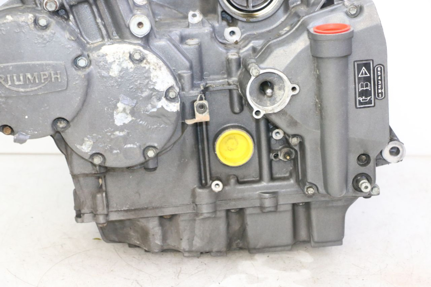 photo de ENGINE TRIUMPH SPRINT 900 (1995 - 1998) - Technical close-up