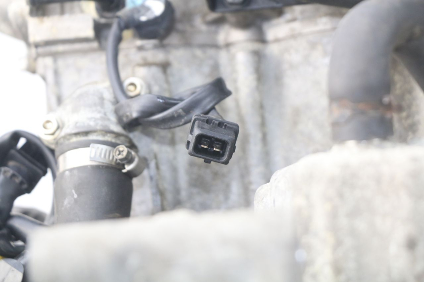 photo de ENGINE TRIUMPH SPRINT ST ABS 1050 (2005 - 2007) - Distinctive features