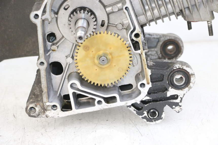 photo de ENGINE JM MOTORS SUNNY 50 (2017 - 2020) - Surface and material condition