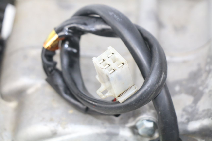 photo de ENGINE NITRO MOTORS THUNDER 125 - Checked used part